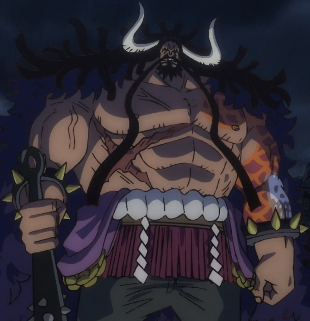 Retrato de Kaido