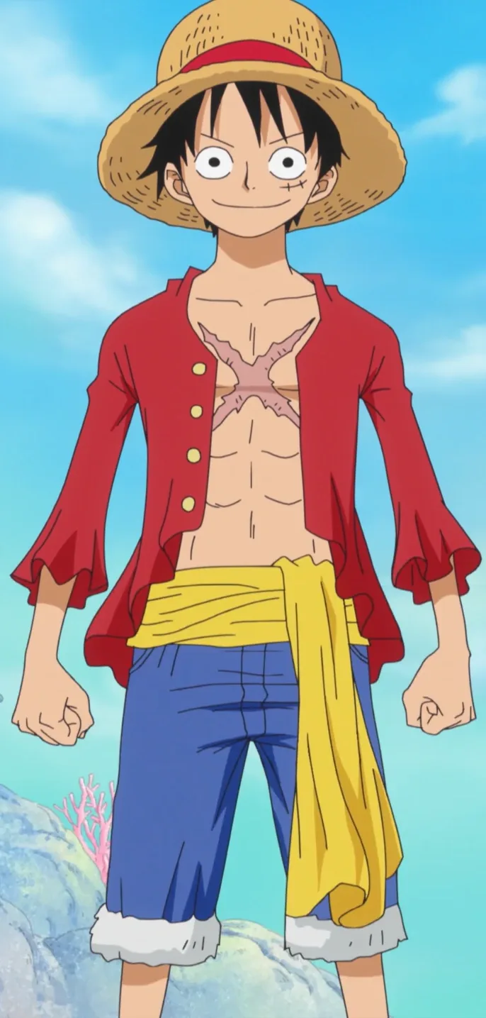 Retrato de Monkey D. Luffy
