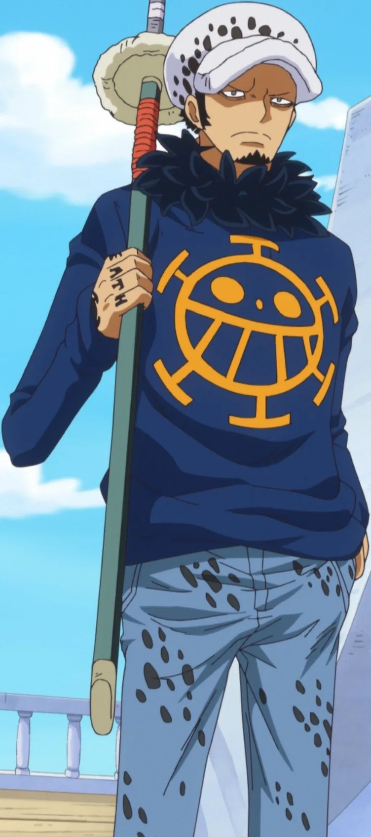 Retrato de Trafalgar D. Water Law